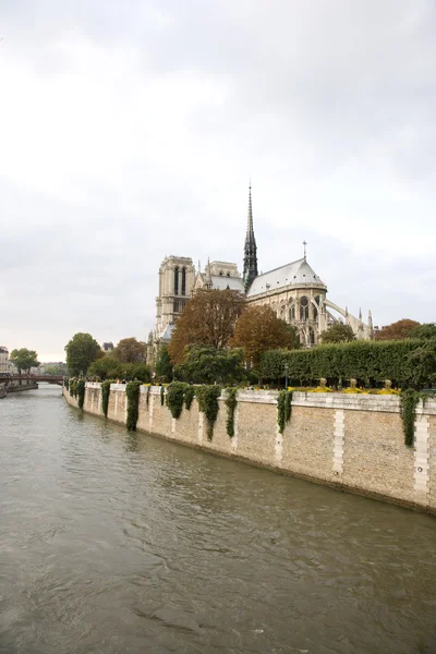 stock image Notre Dame de Paris