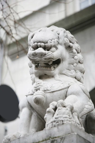 Čínská lva — Stock fotografie