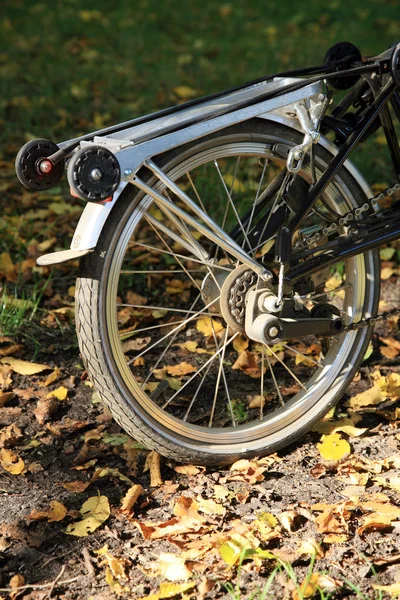 Bicycle in the park — Stock Photo, Image