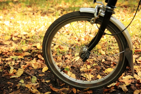 Polkupyörä puistossa — kuvapankkivalokuva