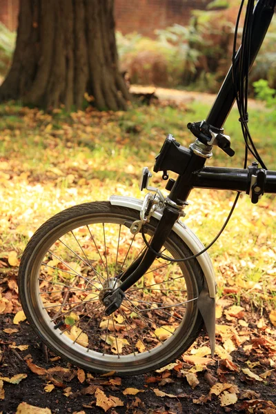 Polkupyörä puistossa — kuvapankkivalokuva