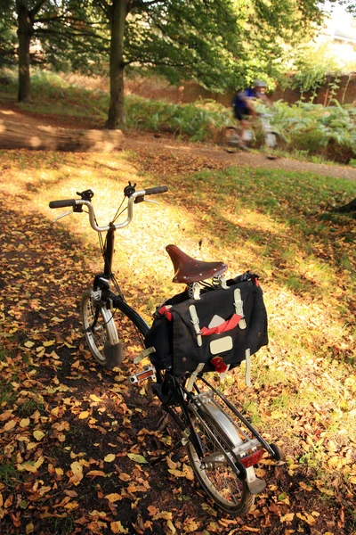 公園内の自転車は — ストック写真