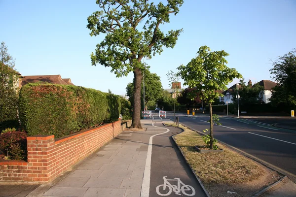 Велосипедная и пешеходная дорожка под деревьями — стоковое фото