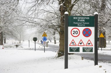 Kış manzarası richmond Park