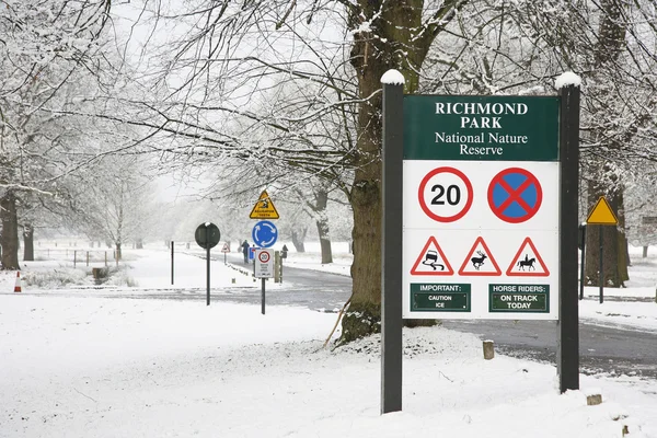 Winter landscape of Richmond Park — Stock Photo, Image