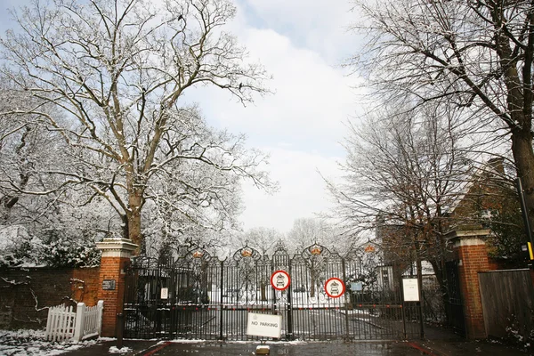 Winter landscape of Richmond Park — Stock Photo, Image