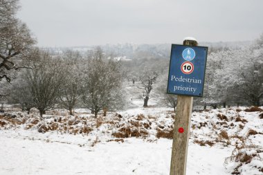 Winter landscape of Richmond Park clipart