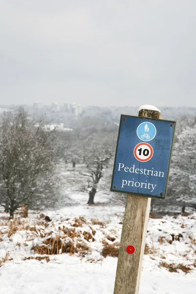Paisagem de inverno de Richmond Park — Fotografia de Stock