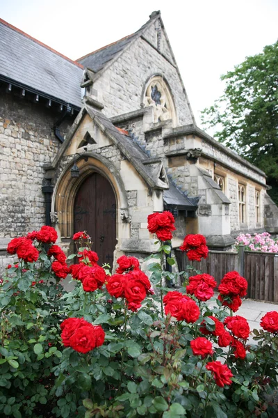 Яскраві червоні троянди — стокове фото