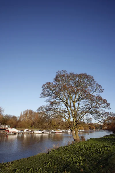 River View of Thames — Stock Photo, Image