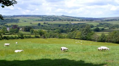 dartmoor milli park peyzaj