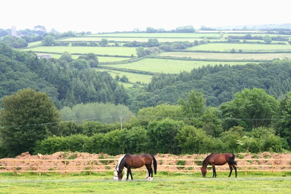 Krajobraz parku narodowego dartmoor — Zdjęcie stockowe