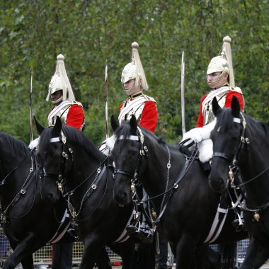 2012, Trooping the color clipart