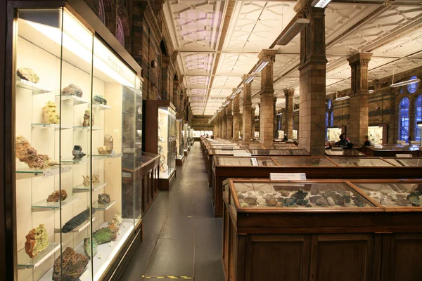Museo di Storia Naturale — Foto Stock