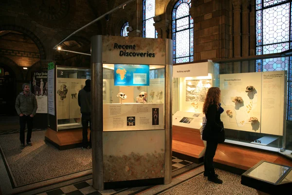 Museo di Storia Naturale — Foto Stock