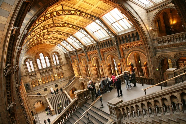 The Natural History Museum — Stock Photo, Image