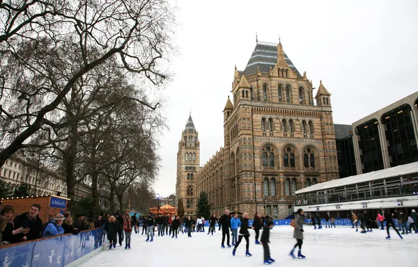 Natural History Museum's Ice Rink — Stock Photo, Image