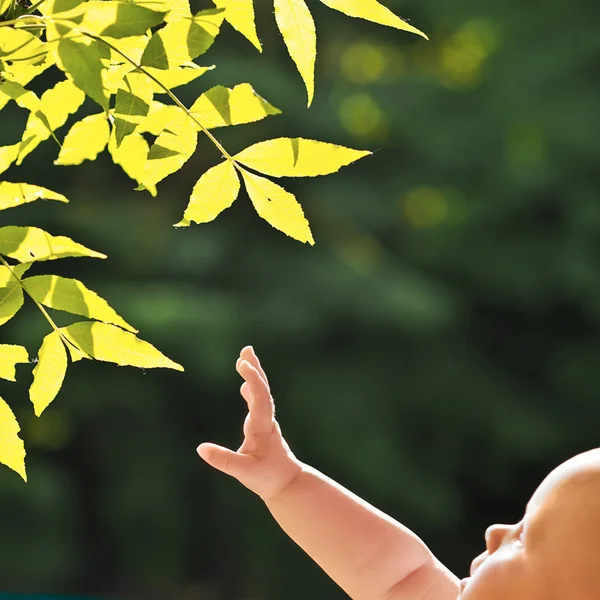 小さな赤ちゃん手と新鮮な緑の葉 — ストック写真