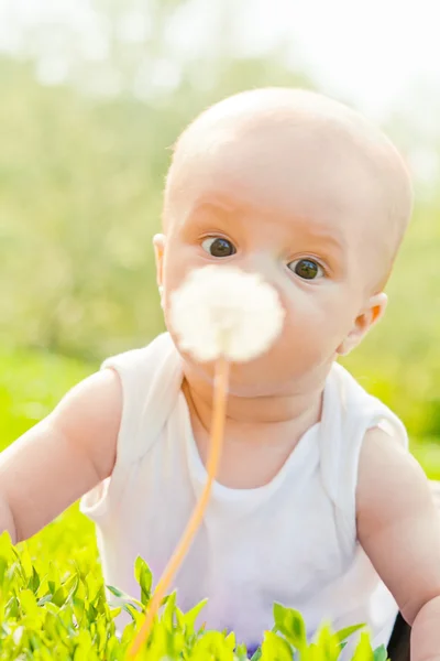 Funny little baby laying on the grass with dandelion — Stock Photo, Image