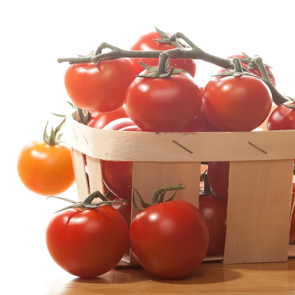 Pomodori in cesto isolato su sfondo bianco — Foto Stock