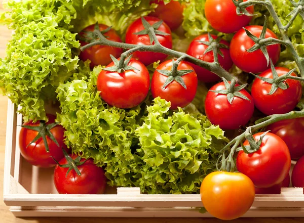 stock image Tomatoes and salad in wooden basket on the table