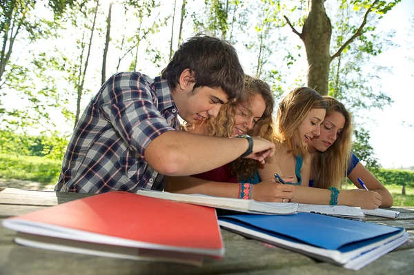 Teeneger students working together at park — Stock Photo, Image