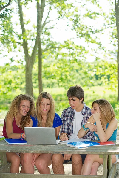 年轻的学生使用的便携式计算机室外，意大利的组 — 图库照片