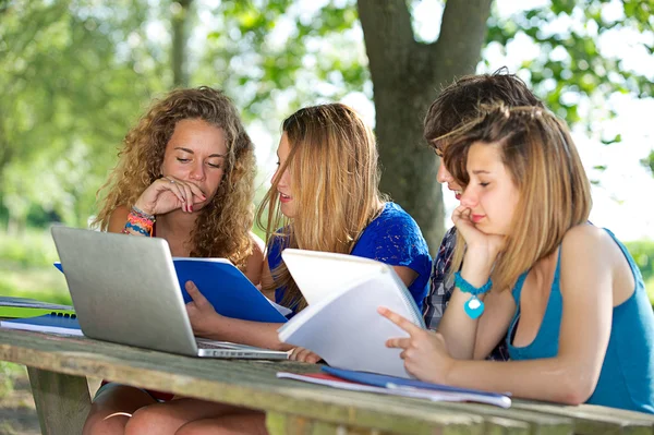 Grupo de jovens estudantes usando laptop ao ar livre, Itália — Fotografia de Stock