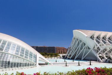 Valencia hemisferik - sanat ve bilim kenti