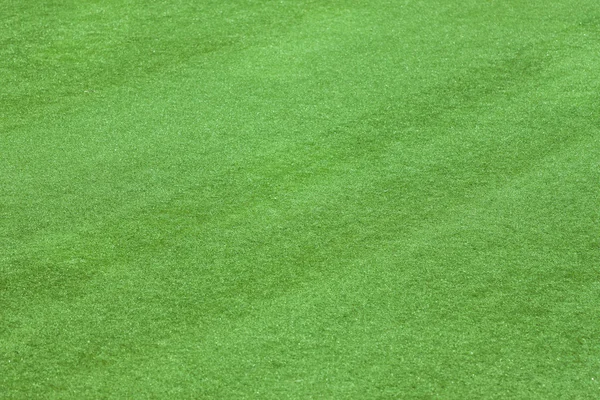 Suni çim alan yan görünüm doku — Stok fotoğraf