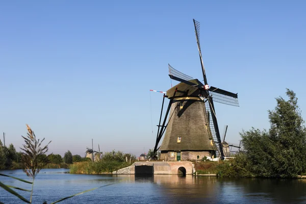 Moulins à vent en polder néerlandais — Photo