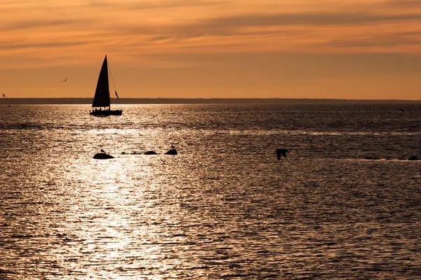 Gün batımında yelkenli tekne siluet — Stok fotoğraf