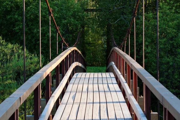 Маленький деревянный пешеходный мост — стоковое фото