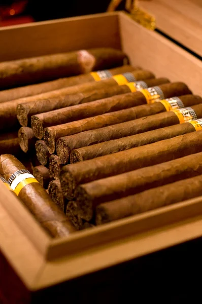 En låda med cigarrer — Stockfoto