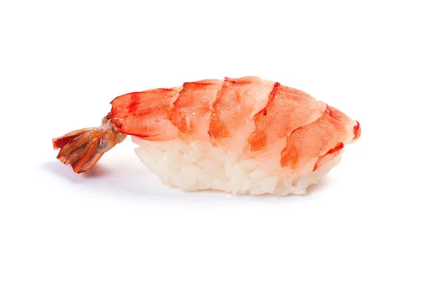 Nigiri sushi. Eby. Shrimp. On a white background. — Stock Photo, Image