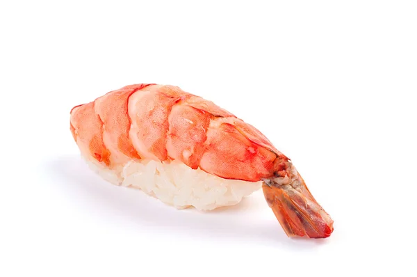 Nigiri sushi. Eby. Shrimp. On a white background. — Stock Photo, Image