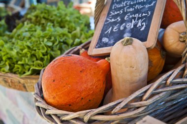 Basket of Squash clipart