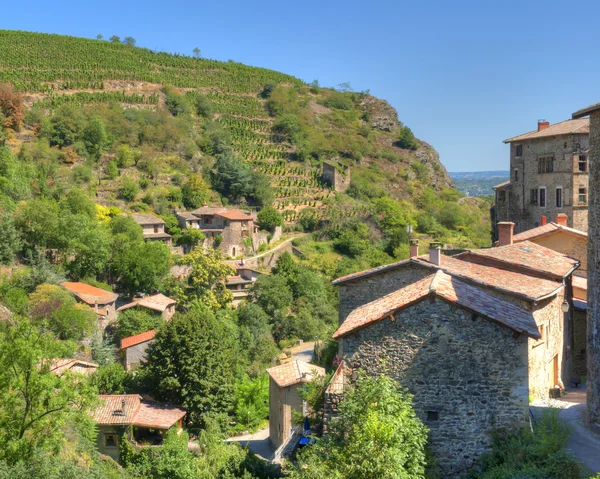 Terrassenförmig angelegten Weinbergen von Malevall France — Stockfoto