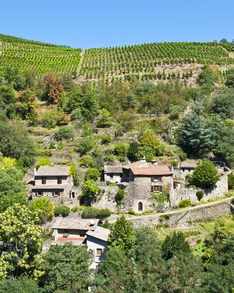 Tarasowe winnic malevall Francja — Zdjęcie stockowe