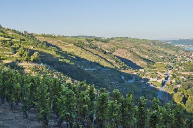 vienne yakınındaki Rhone Nehri Vadisi