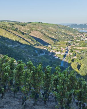 vienne yakınındaki Rhone Nehri Vadisi