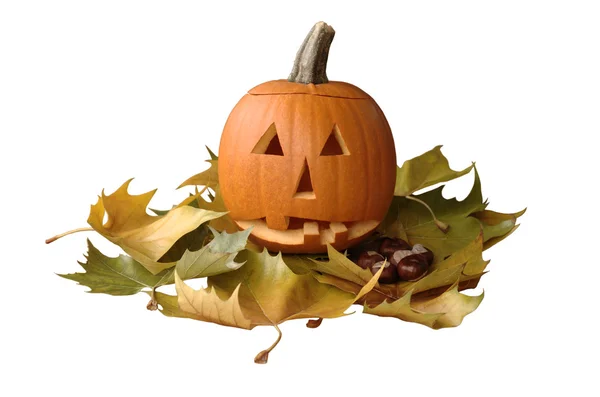 Abóbora de Halloween com folhas de bordo — Fotografia de Stock