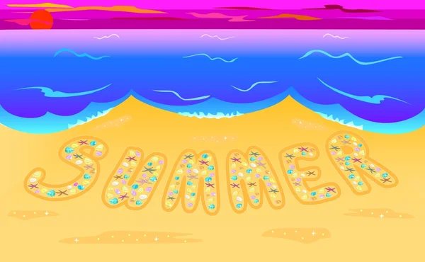 Été de coquillages sur le littoral — Image vectorielle