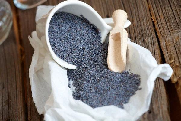 stock image Poppy seed