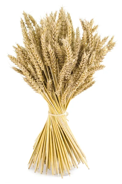 Пшениця букет Ліцензійні Стокові Зображення