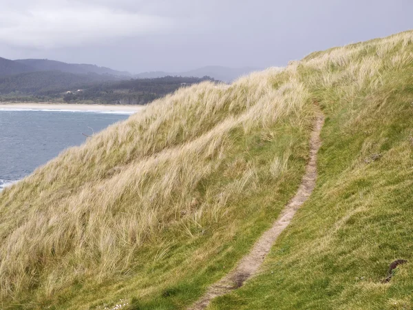 Jalur melalui vegetasi di pantai Galicia — Stok Foto