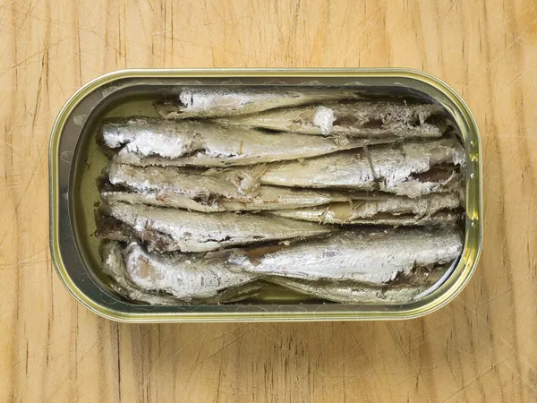 Konserverade sardiner — Stockfoto
