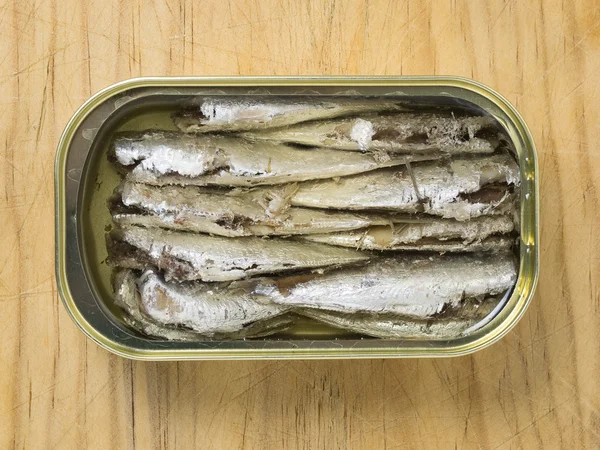Konzervované sardinky Stock Snímky