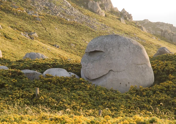 Una testa a forma di roccia e un viso sorridente — Foto Stock