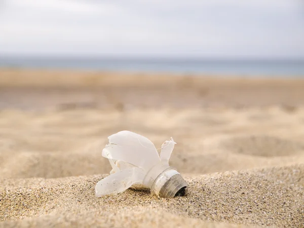 Broken bulb up on the beach — Stock Photo, Image